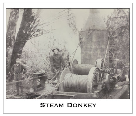 Steam-Donkey Steam Donkey