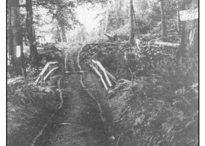 Stage trail over bridge