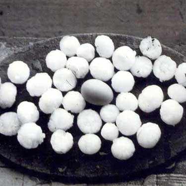 REMEMBERING HAILSTORM OF 1949