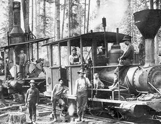 A STEAM DONKEY IN THE WOODS