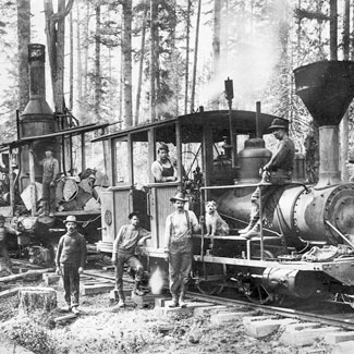 A STEAM DONKEY IN THE WOODS