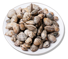 Image - Plate of Clams