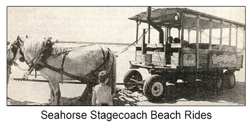 Seahorse Stagecoach Wagon